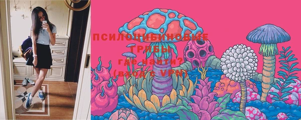 марки lsd Абаза