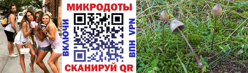 Галлюциногенные грибы мухоморы Абаза